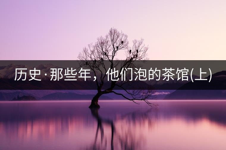 歷史·那些年，他們泡的茶館(上)