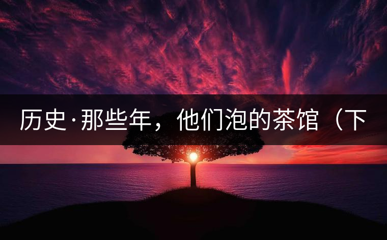 歷史·那些年，他們泡的茶館（下）