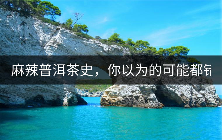 麻辣普洱茶史，你以為的可能都錯(cuò)了！