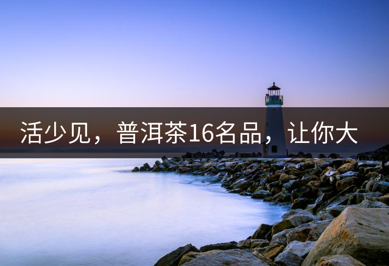 活少見，普洱茶16名品，讓你大開眼界