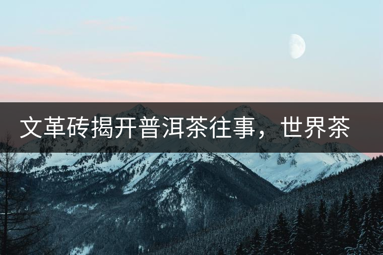 文革磚揭開普洱茶往事，世界茶文化交流協(xié)會(huì)成員共品經(jīng)典文革磚！