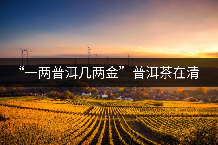 “一兩普洱幾兩金”普洱茶在清代為啥這么火？！