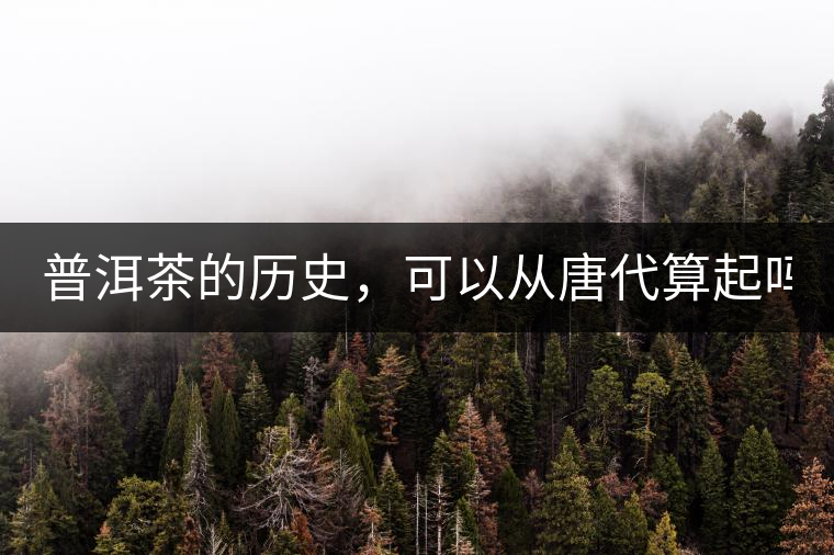 普洱茶的歷史，可以從唐代算起嗎？