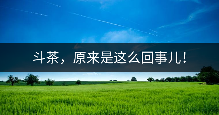 斗茶，原來(lái)是這么回事兒！