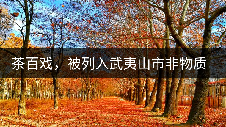 茶百戲，被列入武夷山市非物質(zhì)文化遺產(chǎn)的茶湯