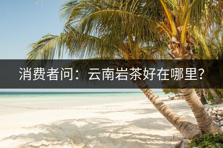 消費(fèi)者問(wèn)：云南巖茶好在哪里？