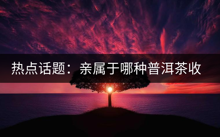 熱點(diǎn)話題：親屬于哪種普洱茶收藏者？