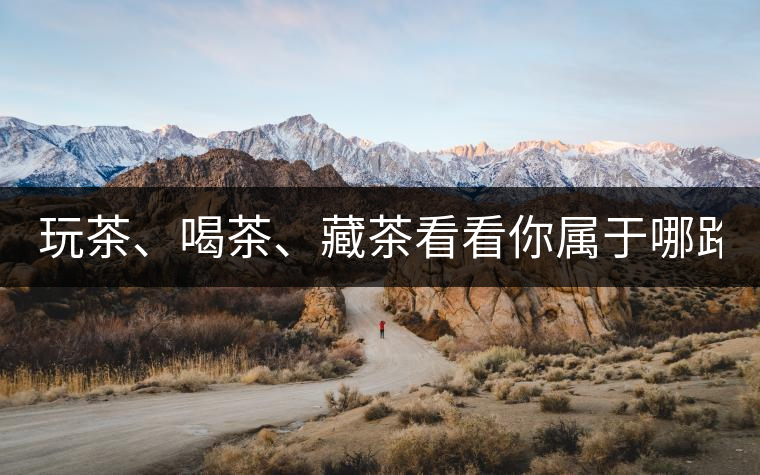 玩茶、喝茶、藏茶看看你屬于哪路茶神！