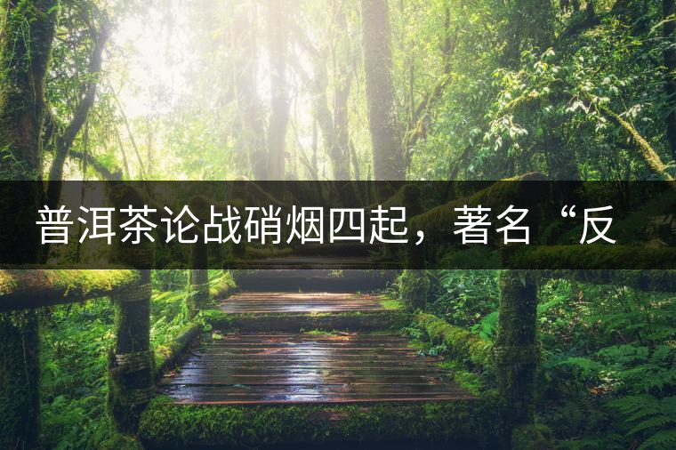 普洱茶論戰(zhàn)硝煙四起，著名“反偽斗士”司馬南有話說
