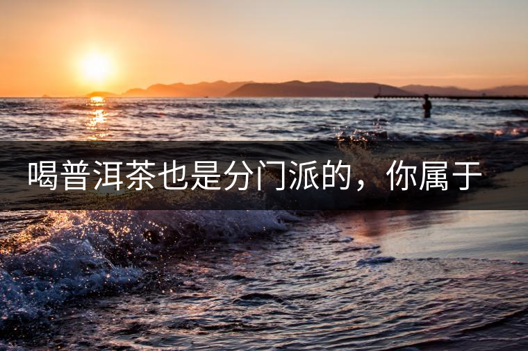 喝普洱茶也是分門派的，你屬于哪派呢？