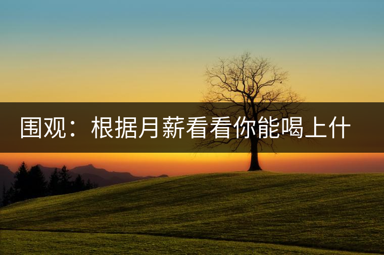 圍觀：根據(jù)月薪看看你能喝上什么茶？