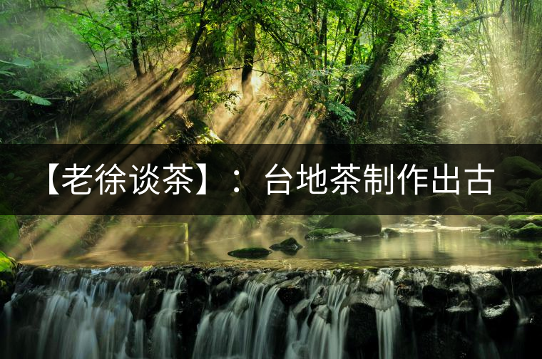 【老徐談茶】：臺(tái)地茶制作出古樹茶口感？只需一招，輕松騙過(guò)你 ?