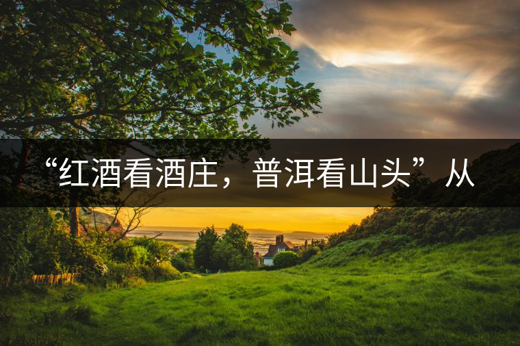 “紅酒看酒莊，普洱看山頭”從這里秒懂普洱茶的未來