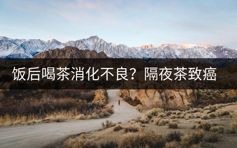 飯后喝茶消化不良？隔夜茶致癌？9個喝茶流言你該好好分個真假