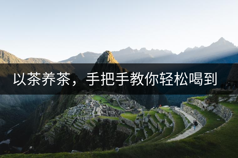 以茶養(yǎng)茶，手把手教你輕松喝到好普洱茶