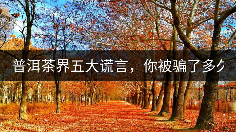 普洱茶界五大謊言，你被騙了多久？