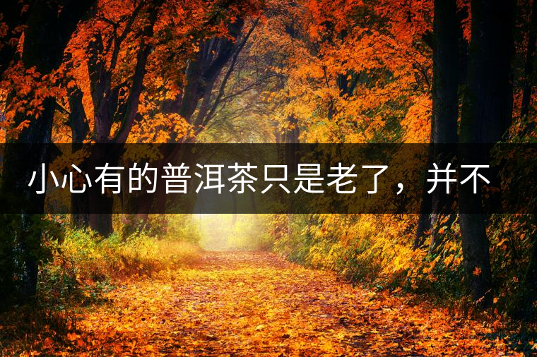 小心有的普洱茶只是老了，并不是好了