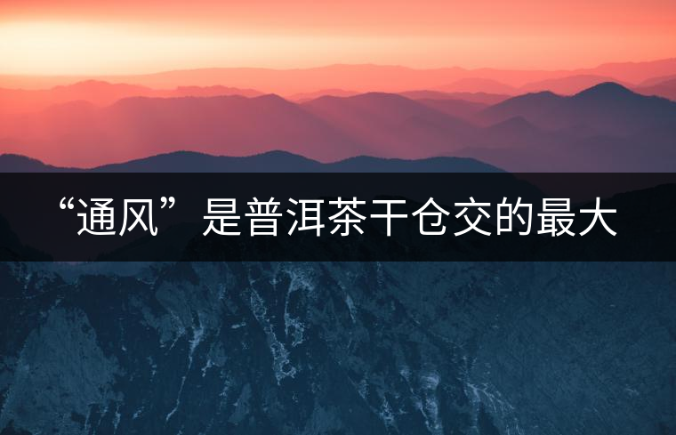 “通風”是普洱茶干倉交的最大學費