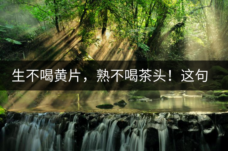 生不喝黃片，熟不喝茶頭！這句話你了解多少？