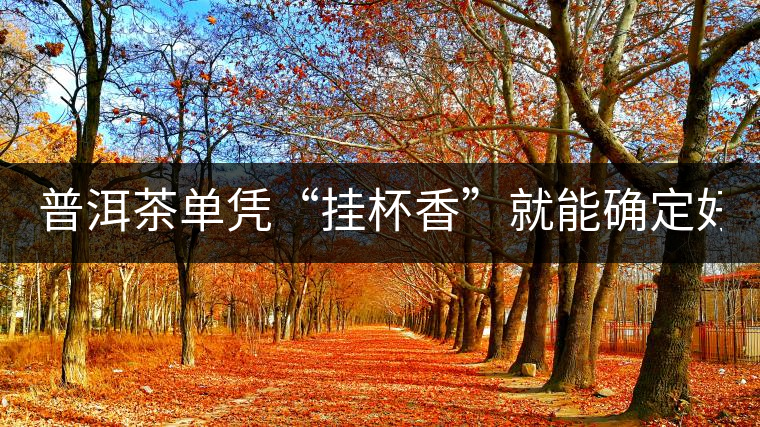 普洱茶單憑“掛杯香”就能確定好壞？you錯了！