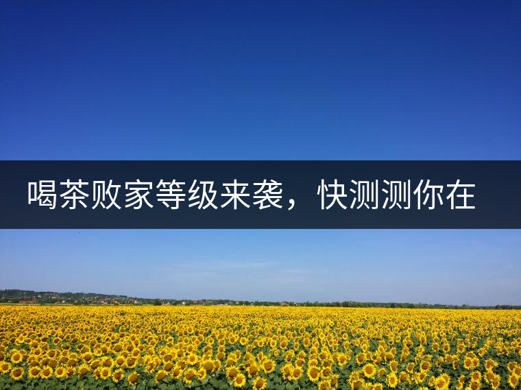 喝茶敗家等級(jí)來(lái)襲，快測(cè)測(cè)你在哪一級(jí)？