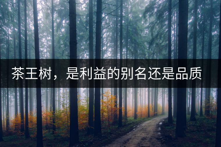 茶王樹，是利益的別名還是品質(zhì)的象征？