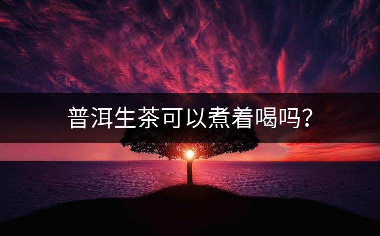普洱生茶可以煮著喝嗎？