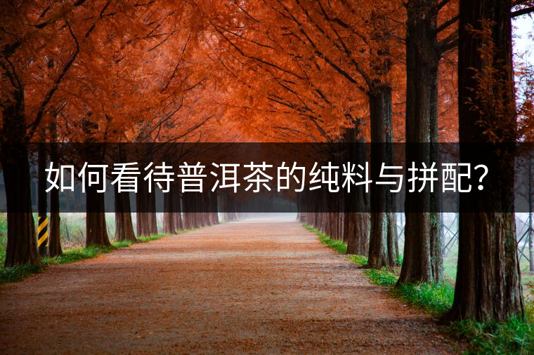 如何看待普洱茶的純料與拼配？