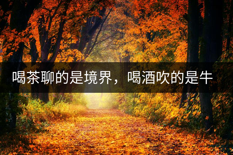 喝茶聊的是境界，喝酒吹的是牛皮