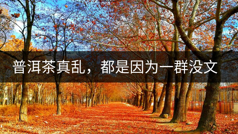 普洱茶真亂，都是因?yàn)橐蝗簺](méi)文化的人在瞎搞？真敢說(shuō)！