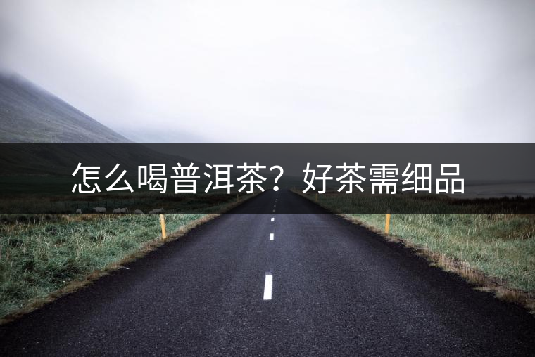怎么喝普洱茶？好茶需細品