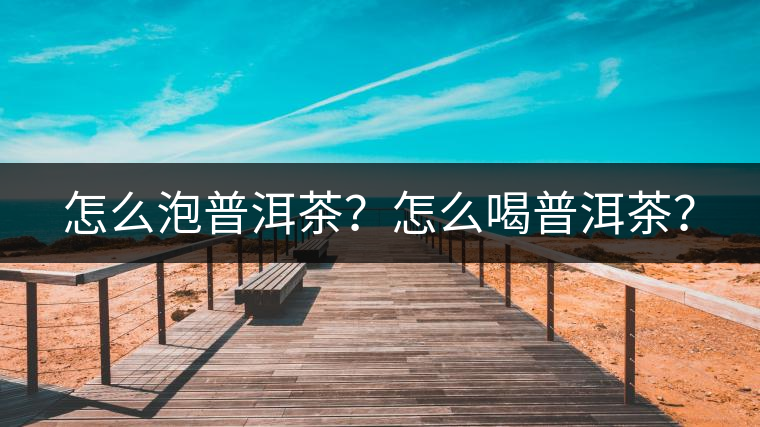 怎么泡普洱茶？怎么喝普洱茶？