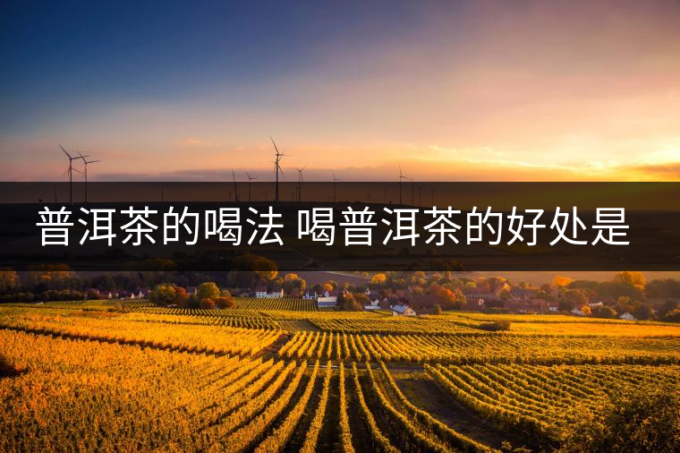 普洱茶的喝法 喝普洱茶的好處是什么？
