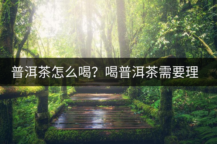 普洱茶怎么喝？喝普洱茶需要理由嗎？