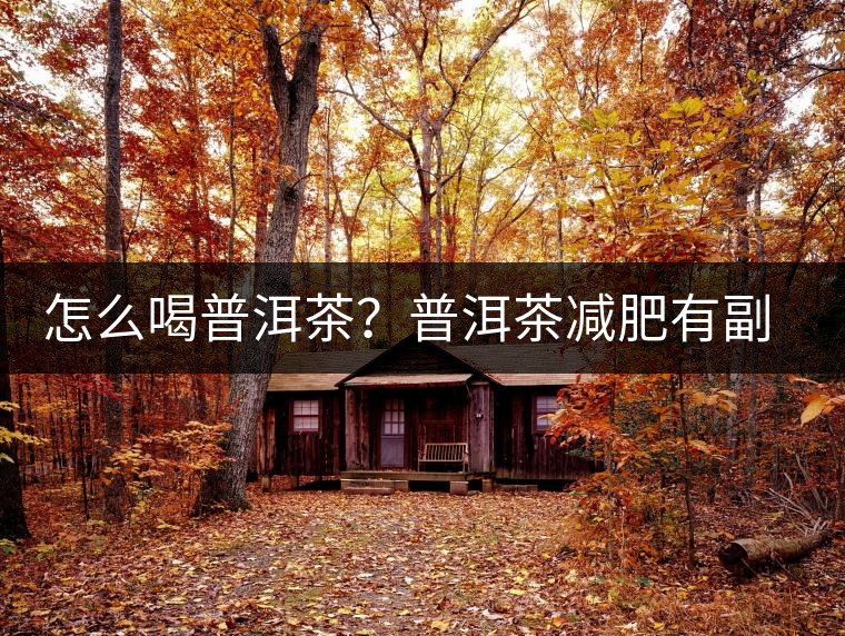 怎么喝普洱茶？普洱茶減肥有副作用嗎？