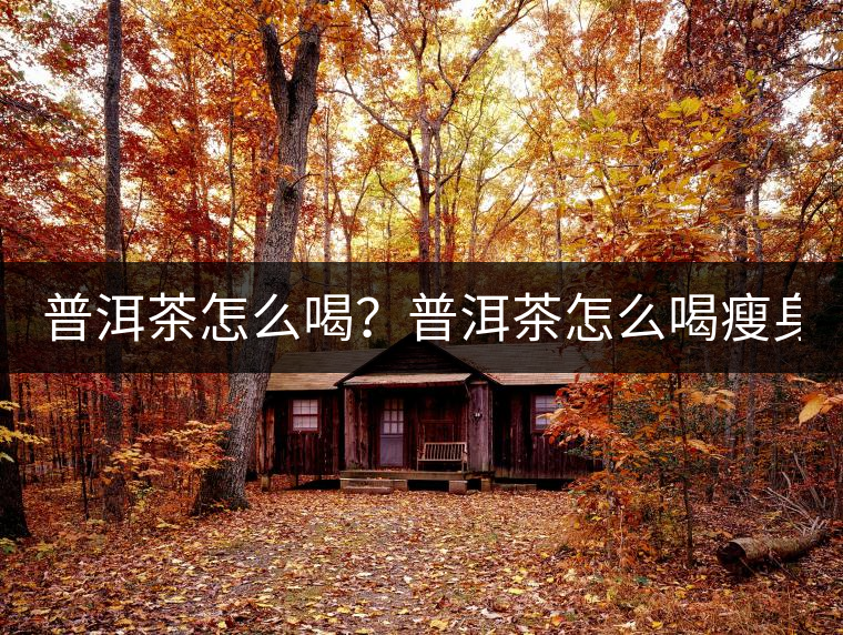 普洱茶怎么喝？普洱茶怎么喝瘦身？