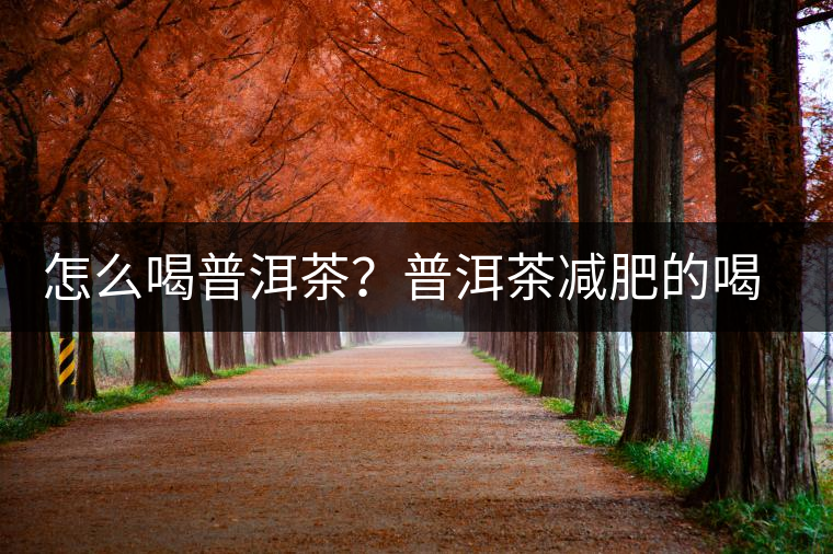 怎么喝普洱茶？普洱茶減肥的喝法