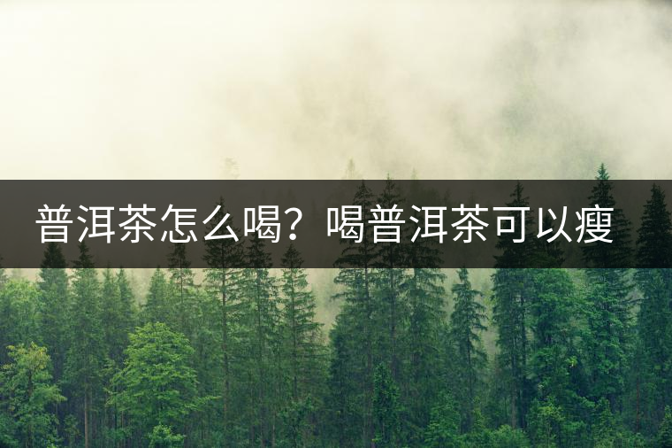 普洱茶怎么喝？喝普洱茶可以瘦腹嗎？