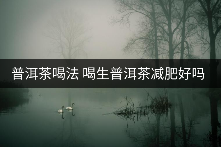 普洱茶喝法 喝生普洱茶減肥好嗎？