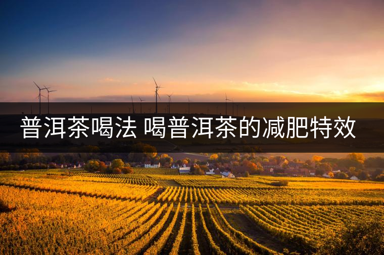 普洱茶喝法 喝普洱茶的減肥特效是什么呢？