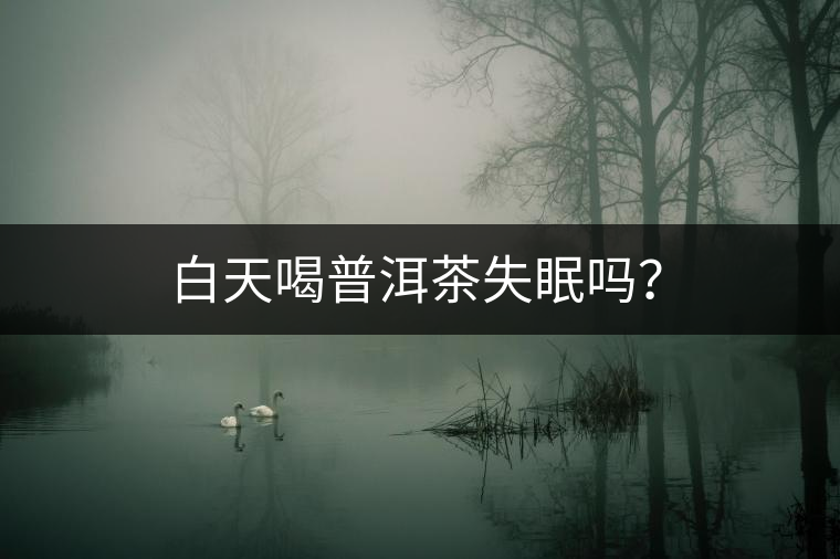 白天喝普洱茶失眠嗎？