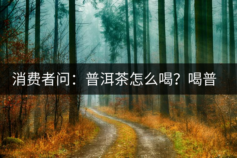 消費(fèi)者問(wèn)：普洱茶怎么喝？喝普洱茶要怎么沖泡好？
