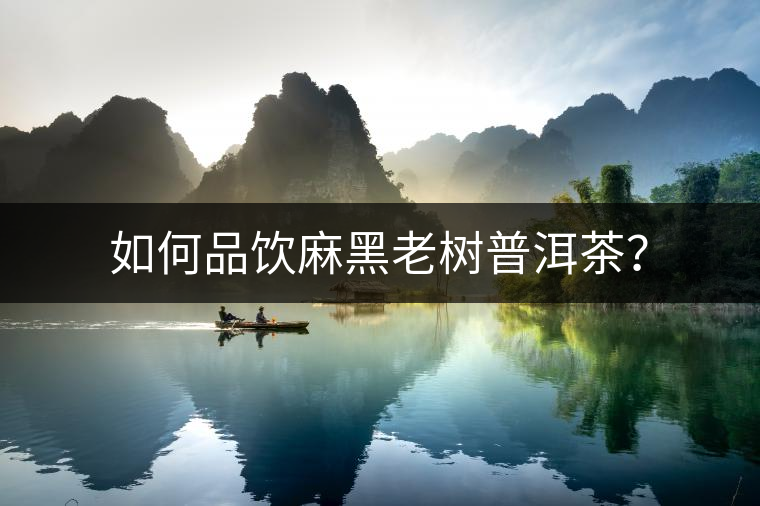 如何品飲麻黑老樹(shù)普洱茶？