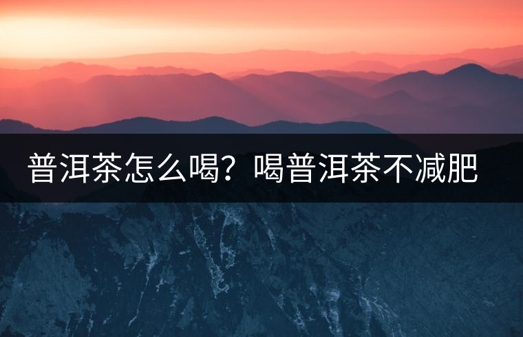 普洱茶怎么喝？喝普洱茶不減肥是為什么呢？喝普洱茶減肥要注意什么？