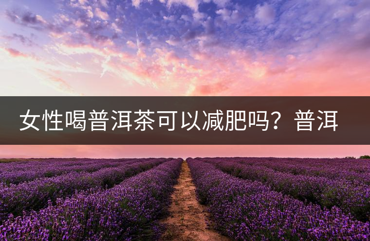 女性喝普洱茶可以減肥嗎？普洱茶的功效又有哪些呢？