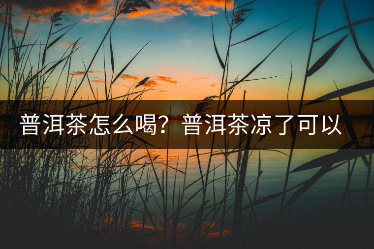 普洱茶怎么喝？普洱茶涼了可以喝嗎？