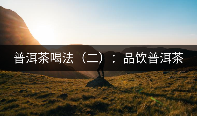 普洱茶喝法(二):品飲普洱茶 普洱茶喝法(二):品飲普洱茶