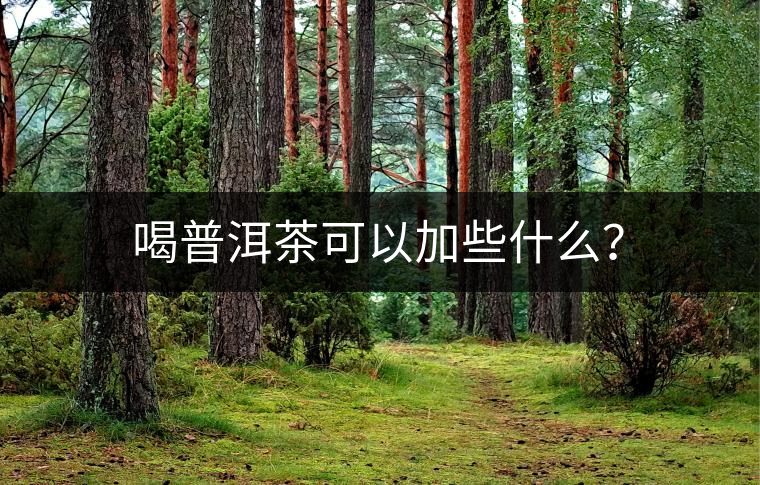 喝普洱茶可以加些什么？