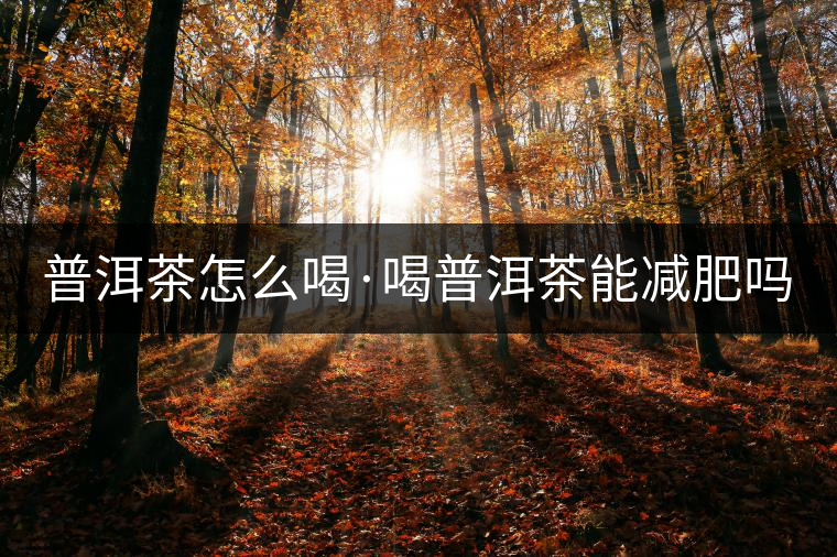普洱茶怎么喝·喝普洱茶能減肥嗎？