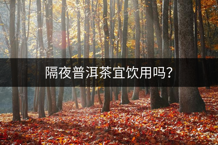 隔夜普洱茶宜飲用嗎？